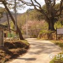 신기마을 앞 이미지