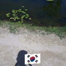 달콩