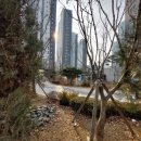 한가람초교 이미지