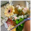 유어스플레르 이미지