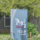 코아루디오션 | 동해시평릉동싱크대막힘동해음식물분쇄기철거후 해결해드렸어요