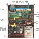 디자인 펌킨