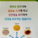 성은백세약국 이미지