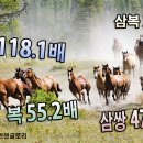 토요경마! “최훈“ 의 4할,死活 이미지