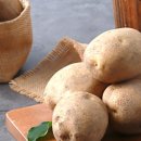 회천농장 이미지