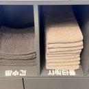 넥스트세일