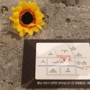 점핑몬스터서산