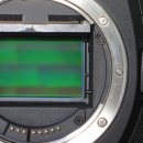 스타사진관 대가대점 이미지