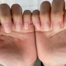 네일오퓰