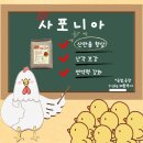 에스팜 이미지