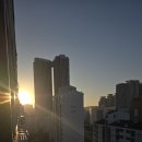 1007.스무이레 새벽별 이미지