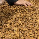 신세계종합정비 | [중국 심양]10년전 추억팔이하러 2박3일 심양여행간 일기(2)