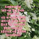 오늘의 말씀ㅡ이사야41:10(주님의 의로운 손) 이미지