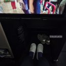 KE전기안전관리유 | 대한항공 ke970 b787-10 프라하-인천 프레스티지 좌석 기내식 라면