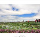 연못이 있는 풍경 이미지