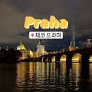 [동유럽 자유여행 5️⃣] 살고 싶은 프라하 | 캄파파크 레스토랑 | 카를교 | 천문시계 | 프라하성...