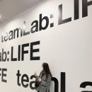 비고리조트 12 이미지