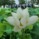 복룡리 화장실 이미지