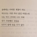 젓가락질 잘해야만 밥을 먹나요 이미지