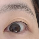 세명대구내안경 위드렌즈 이미지