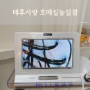 [수원 호매실] 꼼꼼한 토탈두피케어 두피 탈모관리 &#34;태후사랑 호매실능실점&#34;