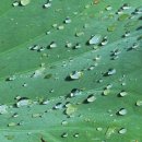 탑동농장 이미지