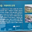 오지산행후기(1265차) 노동지(老冬至) 팥죽산행 2024.12.21(토)