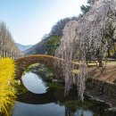 창녕 영산 만년교 이미지