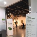 둘리뮤지엄 아시아경제