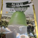 김장무 청경무 이미지