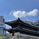 [🤑소비일기] 남대문 현대기물&amp;박그릇 그릇, 꽃 시장 구매 후기