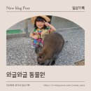 삼동로 | 울산 아이와 가볼만한 곳｜와글와글 동물원 직접 다녀온 찐솔직 후기