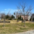 110호어린이공원 이미지