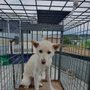 사산경로당 이미지