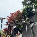 선재도 아리랑힐 호텔&리조트 이미지