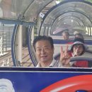 자연송림 이미지