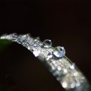 이슬치과의원 이미지