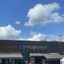 [부산 기장]기장 국밥 맛집 오거리 돼지국밥 방문후기