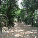 영남안경마트 | 2013 여름 내일로 - #8. 문경새재