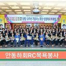 신갑연 Daum카페