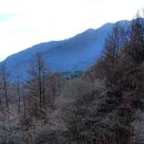 청운물산 이미지