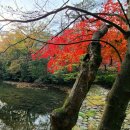 세종행정사 이미지