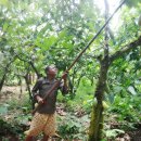 상아농장 이미지