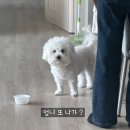 커피에반하다서초 | 2-2 썩은 과일은 알아서 떨어진다