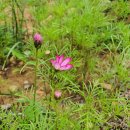 원불교 동해교당 이미지