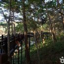 발리장 티스토리