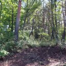 당리고개 이미지