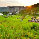오크밸리리조트 눈썰매장