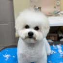 레이지 포 이미지