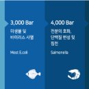일신기술 이미지